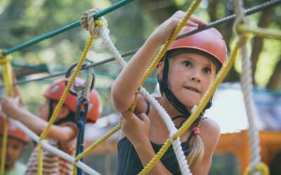 Experiences unleashed – Zamárdi Adventure Park welcomes all