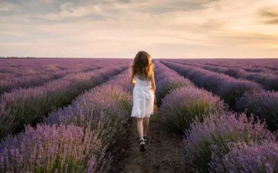 Lavendelwochen in Tihany – eine bunte Sommeridylle