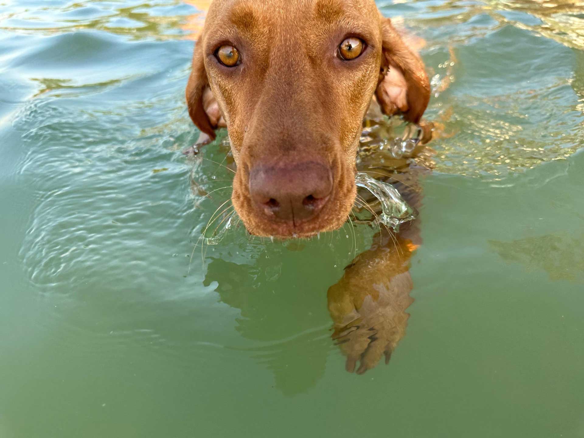 A Mirabella Camping egy különleges part menti szállás Zamárdiban, saját partszakasz, ingyenes babacsomag és más szolgáltatások várják vendégeinket.